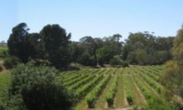 Stonewell Cottages And Vineyards Tanunda Eksteriør billede