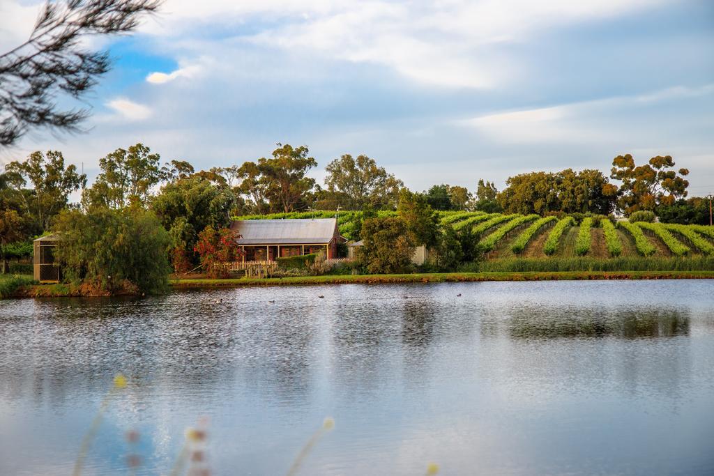 Stonewell Cottages And Vineyards Tanunda Eksteriør billede