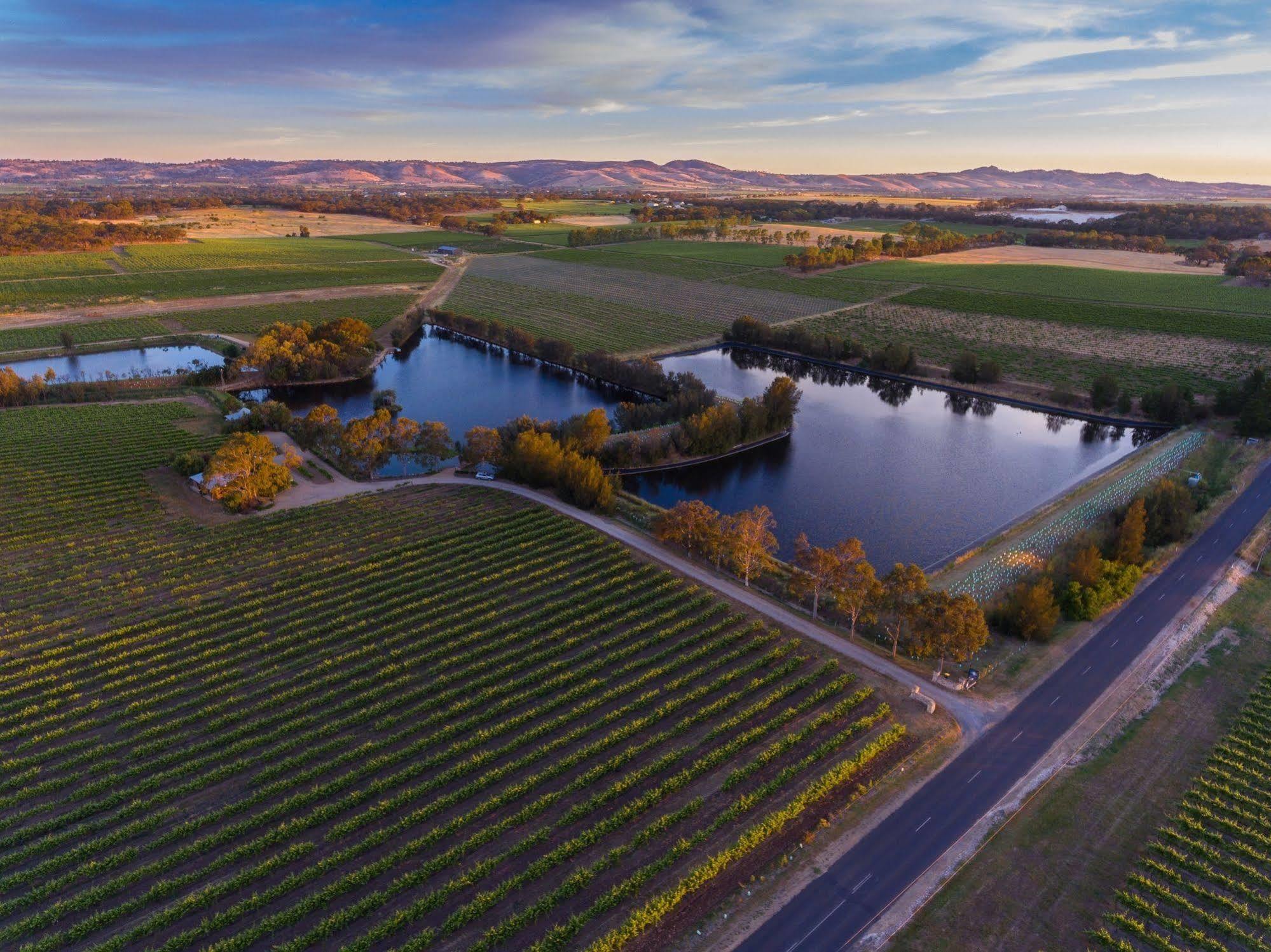 Stonewell Cottages And Vineyards Tanunda Eksteriør billede