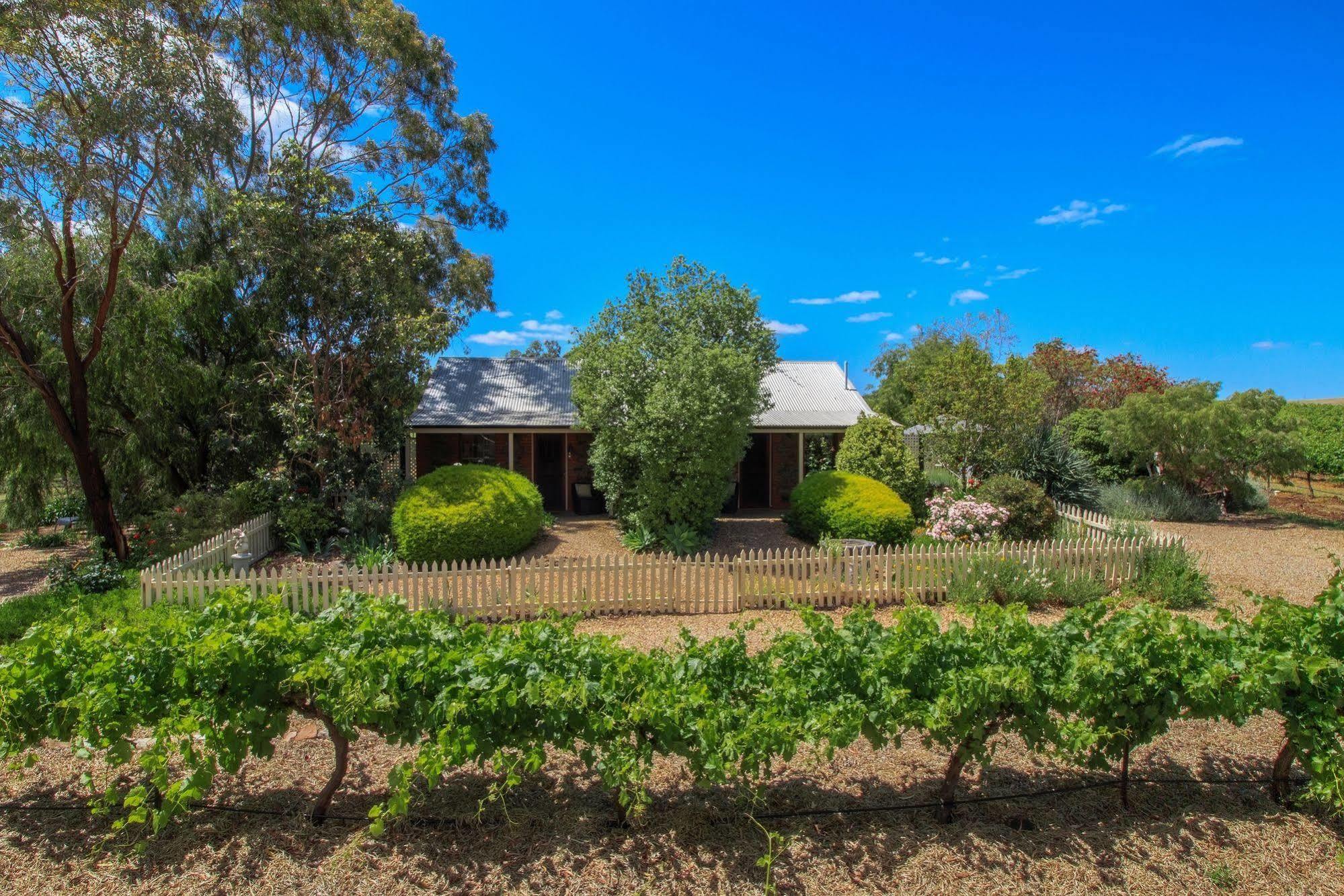 Stonewell Cottages And Vineyards Tanunda Eksteriør billede